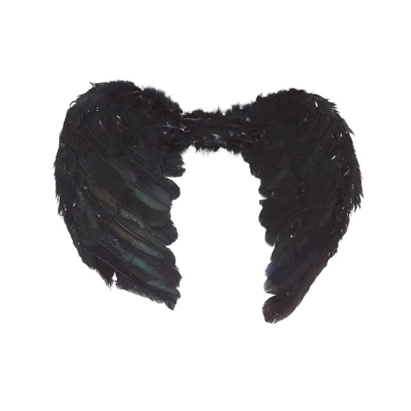 Wings Black Angel Wings - 50 x 40cm