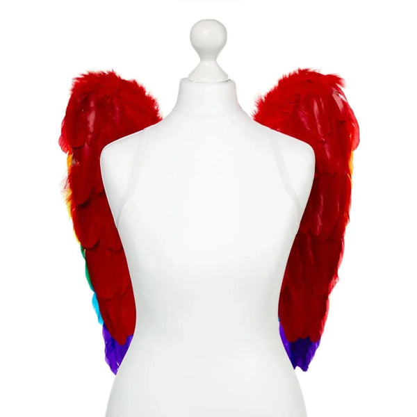 Wings Rainbow Angel Wings - 50cm x 50cm