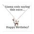 products/Happy_Birthday_Llama_Necklace_on_Funny_Message_Card_-_AG.jpg