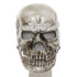 Skull-shaped mask with mesh face design and moving jaw on a white background