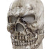 files/Skeleton_Moving_Jaw_Mask_close_up.webp