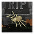 Halloween Props Spider Skeleton - 24cm