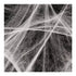 files/halloween-props-spiders-web-with-spiders-100sq-ft-1193916526.jpg
