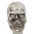 Mask Skeleton Moving Jaw Mask