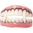 Vampire Teeth Vampire Teeth