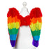 Wings Rainbow Angel Wings - 50cm x 50cm